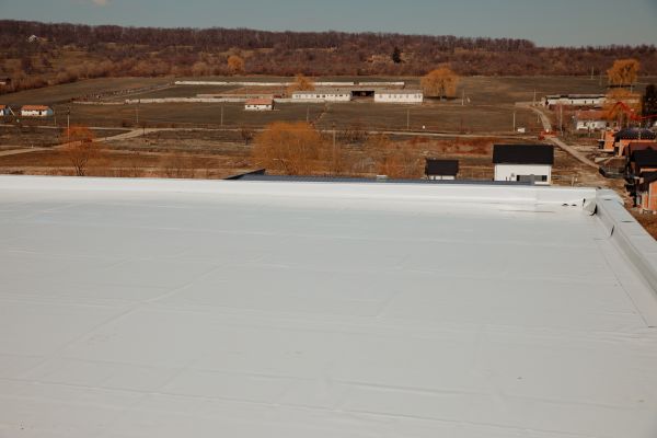 Rubber Roof Stain Removal