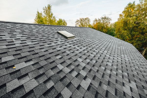 Roof Shingles Washing